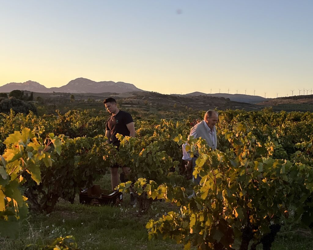 Nieto y abuelo trabajando juntos